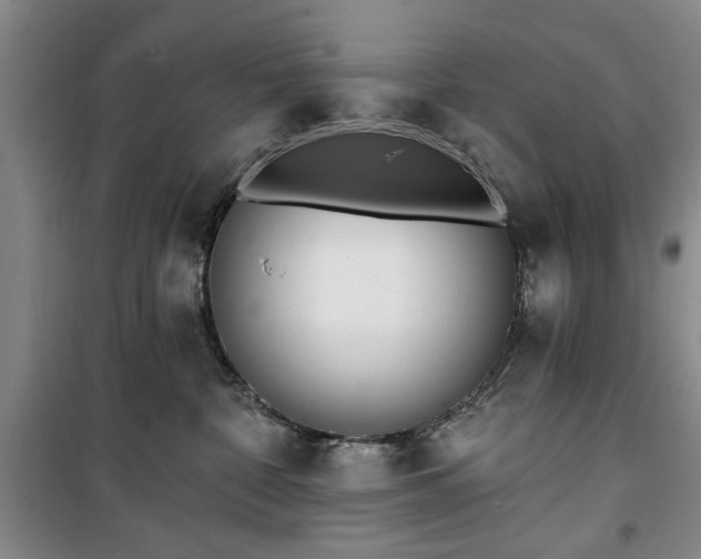 X0000100470332200806131132