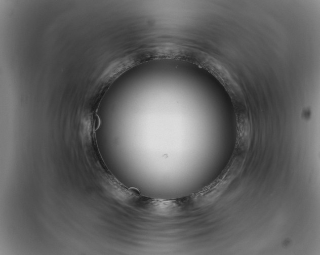 X0000100470333200806131132