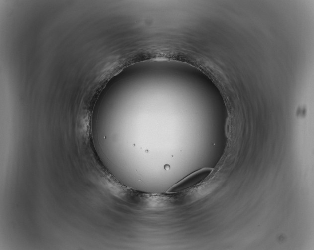 X0000100470336200806131132