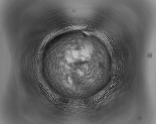 X0000100470337200806131132