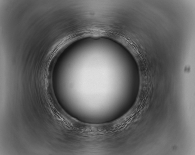 X0000100470338200806131132