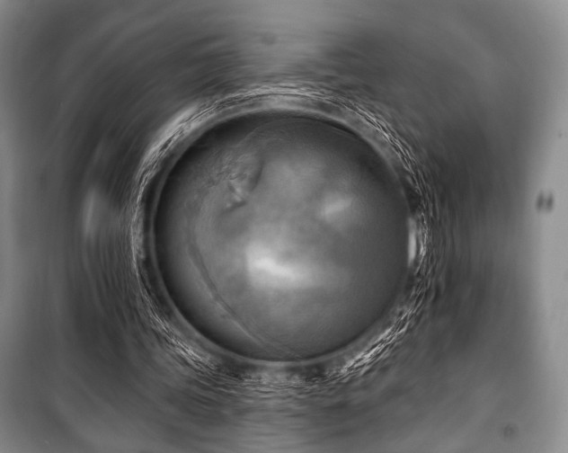 X0000100470339200806131132