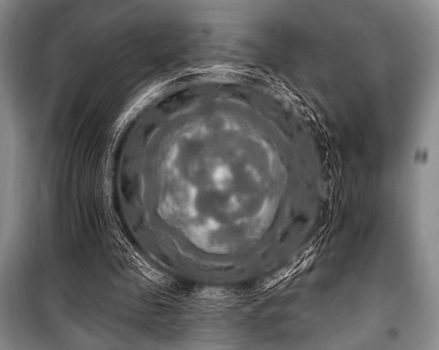 X0000100470341200806131132