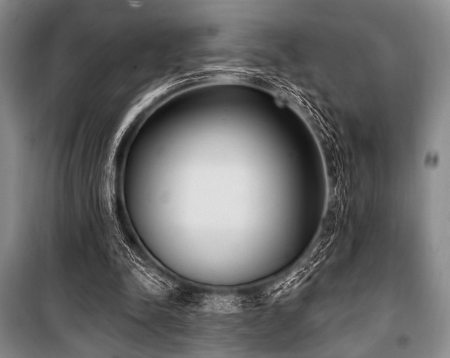 X0000100470342200806131132