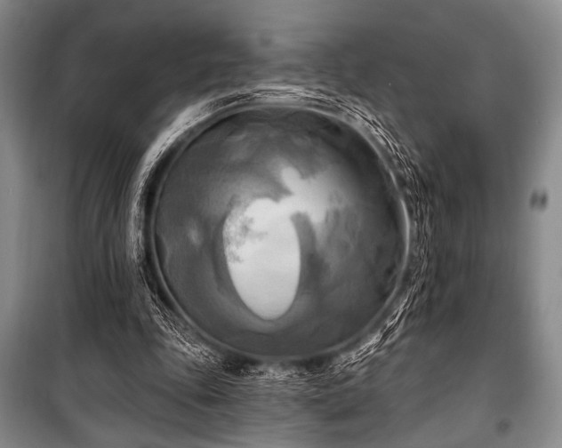 X0000100470343200806131132