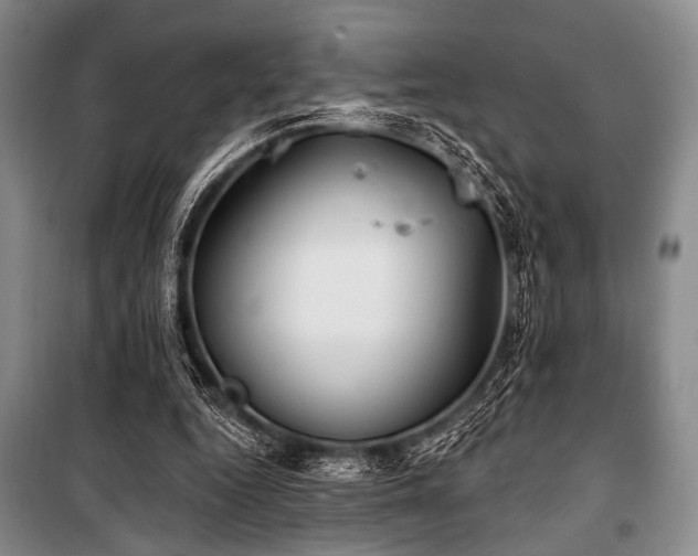 X0000100470344200806131132