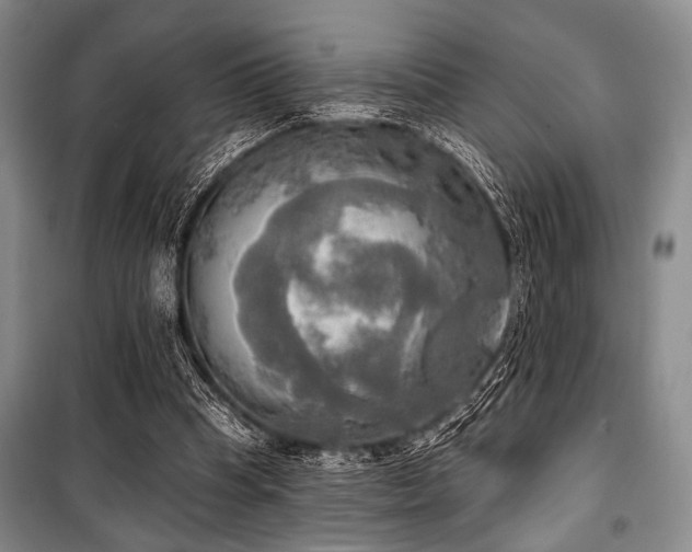 X0000100470345200806131132