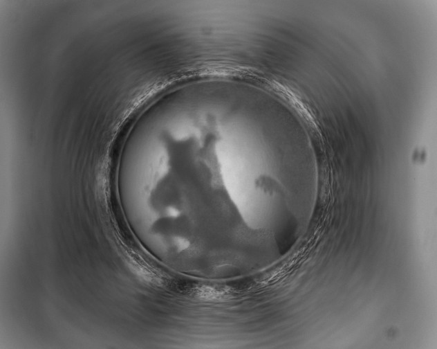 X0000100470346200806131132