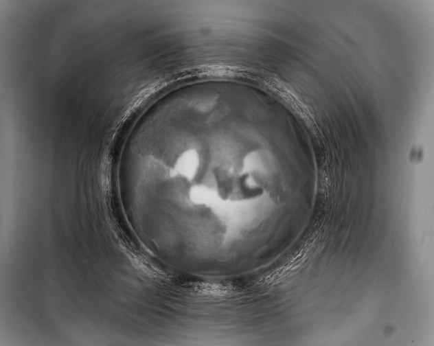 X0000100470347200806131132