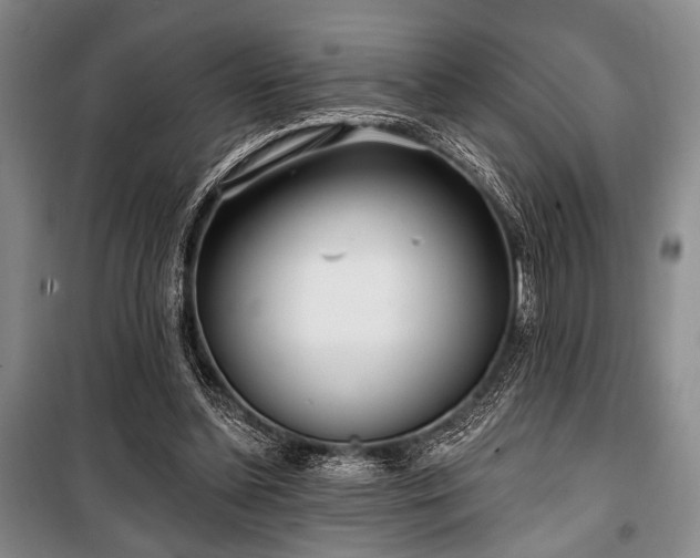 X0000100470348200806131132