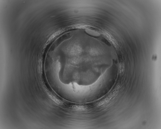 X0000100470349200806131132