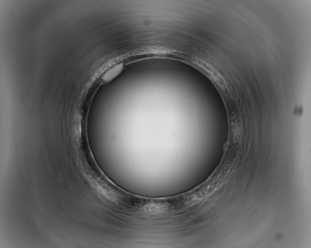 X0000100470350200806131132