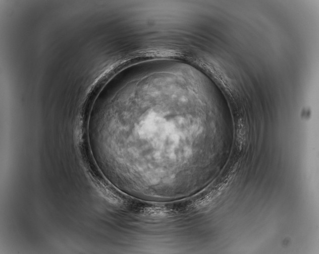 X0000100470351200806131132