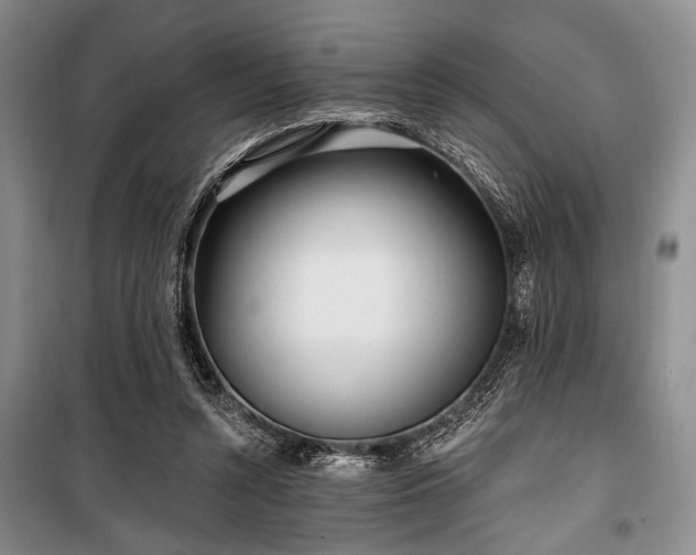 X0000100470352200806131132