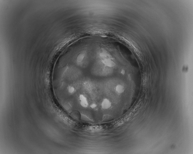 X0000100470353200806131132