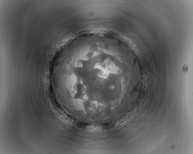 X0000100470354200806131132