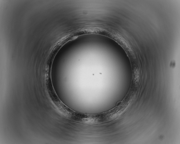 X0000100470356200806131132