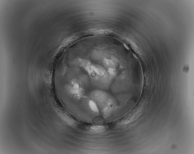 X0000100470357200806131132