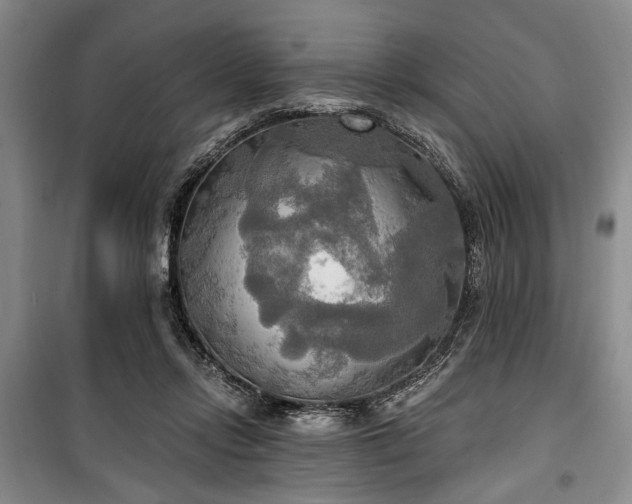 X0000100470358200806131132