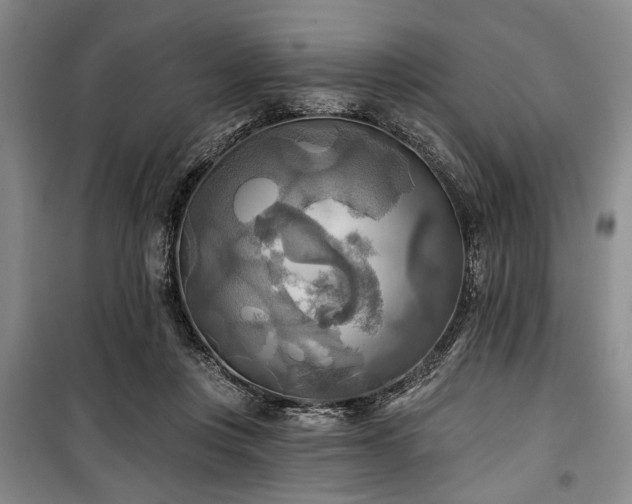 X0000100470359200806131132