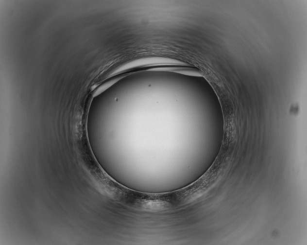 X0000100470360200806131132