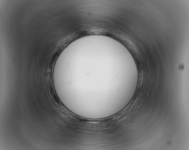 X0000100470361200806131132