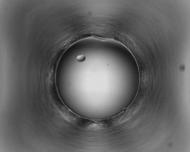 X0000100470364200806131132