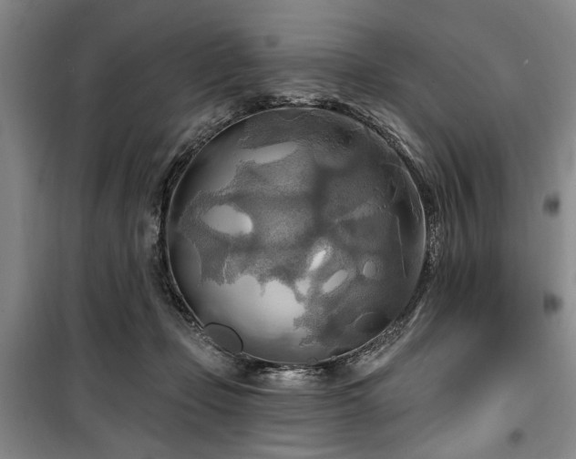 X0000100470365200806131132