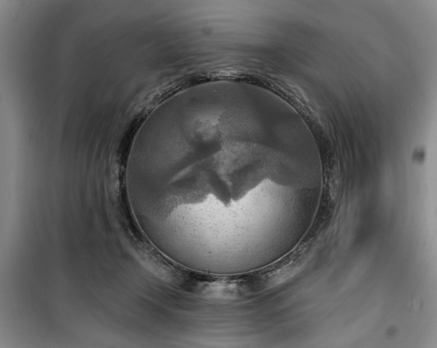 X0000100470366200806131132