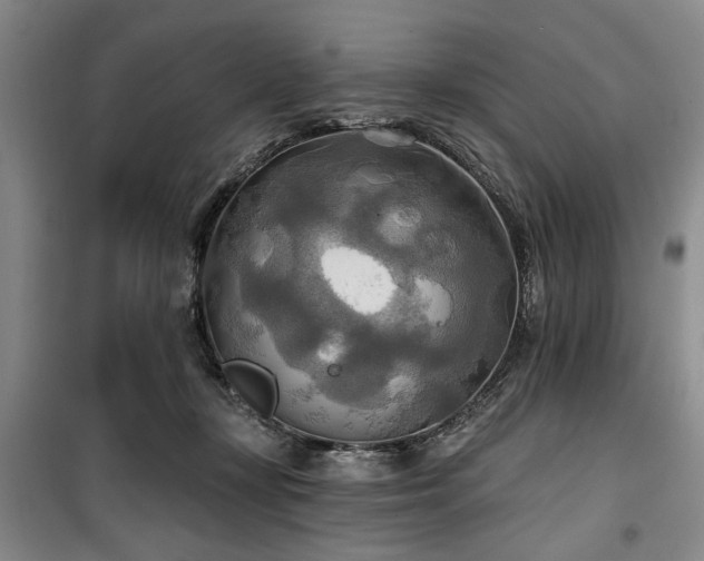 X0000100470367200806131132