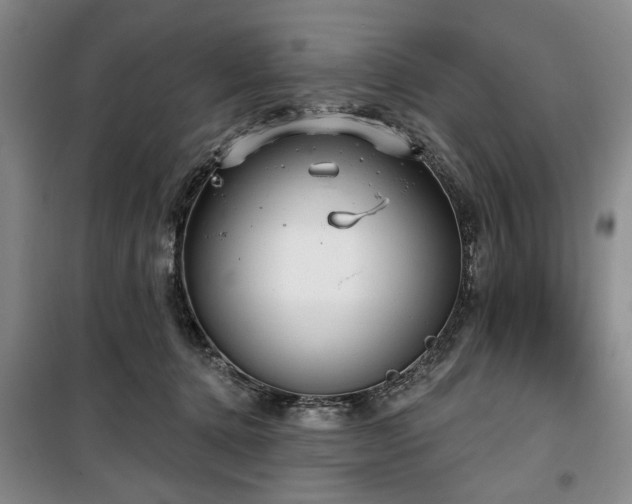 X0000100470368200806131132