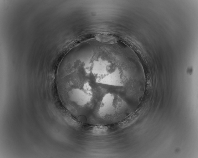 X0000100470369200806131132