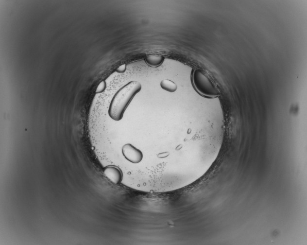 X0000100470370200806131132