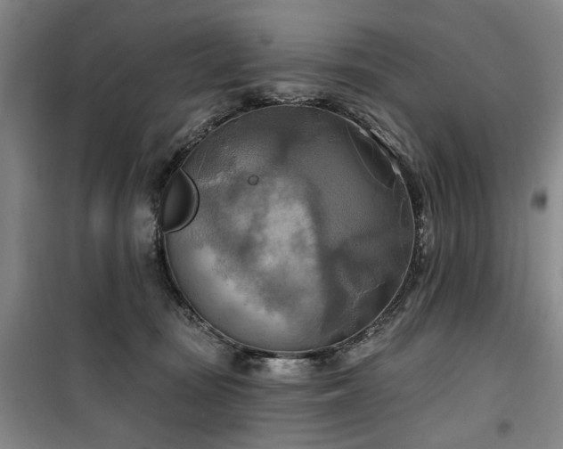 X0000100470371200806131132