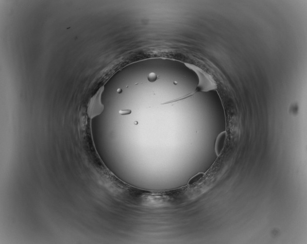 X0000100470372200806131132