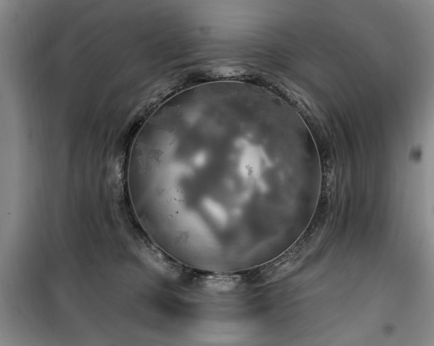 X0000100470373200806131132