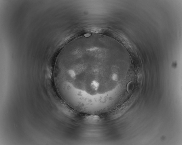 X0000100470374200806131132