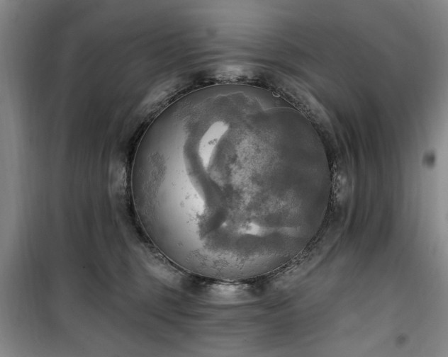 X0000100470375200806131132