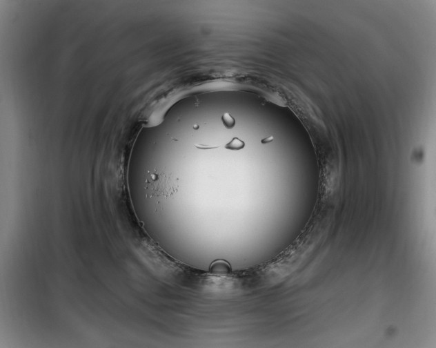 X0000100470376200806131132