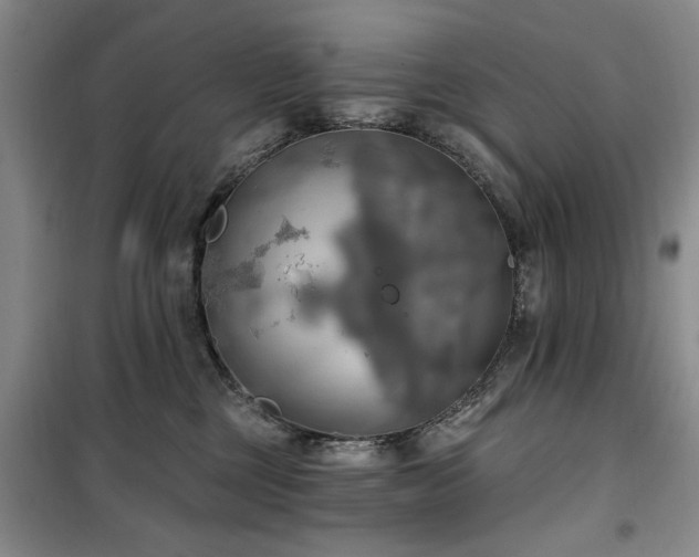 X0000100470377200806131132