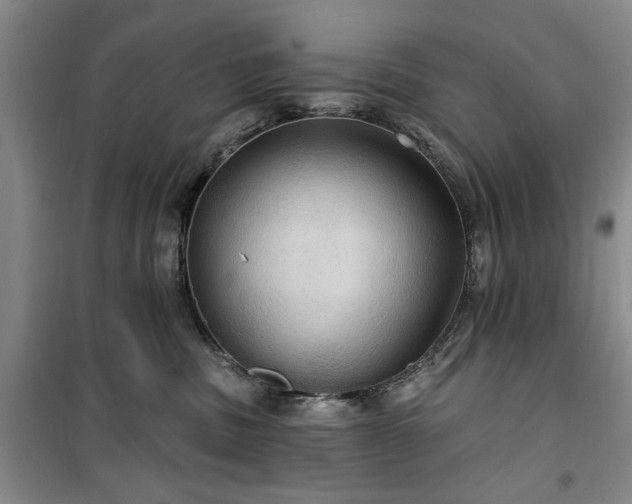 X0000100470379200806131132