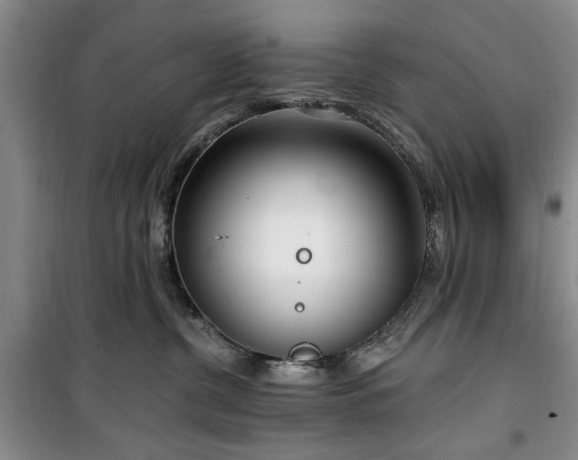 X0000100470380200806131132