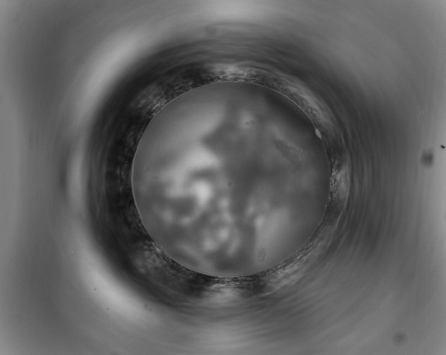 X0000100470381200806131132