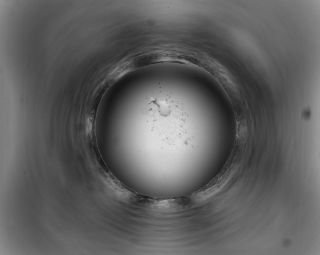 X0000100470382200806131132