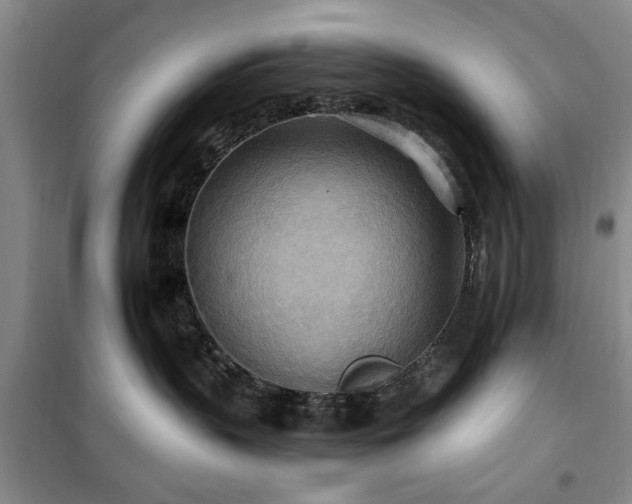 X0000100470383200806131132