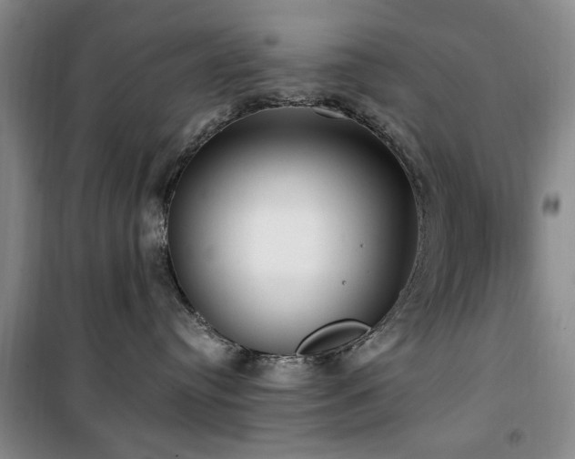 X0000100470384200806131132