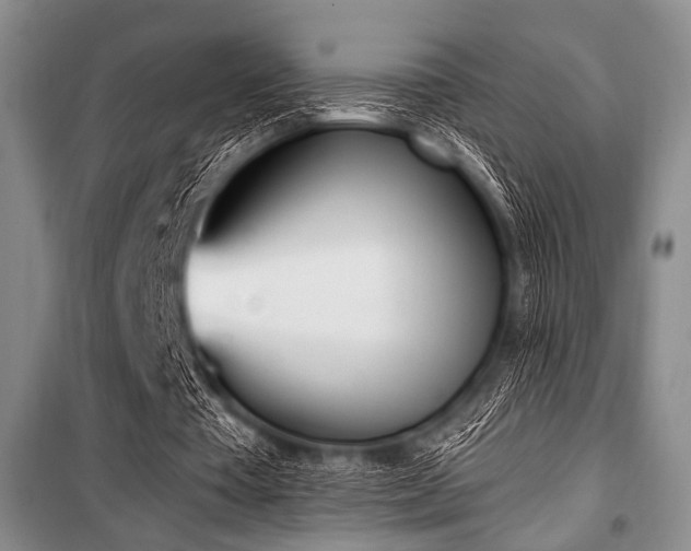 X0000100470385200806131132