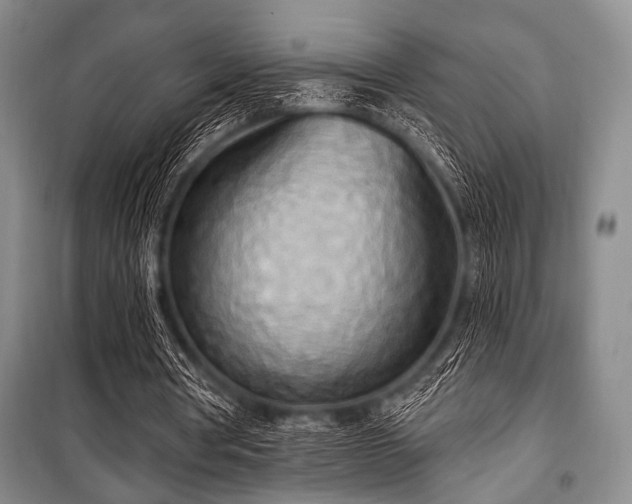 X0000100470386200806131132