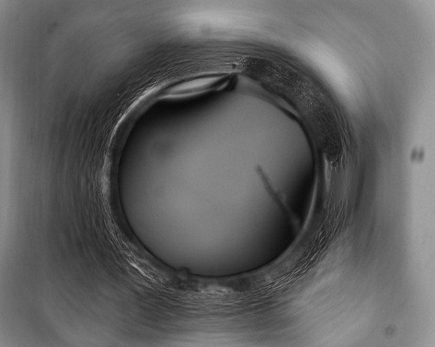 X0000100470387200806131132