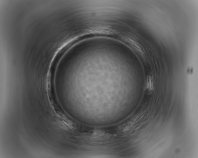 X0000100470388200806131132